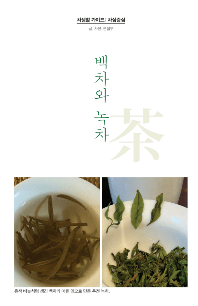 백차와 녹차 – 무등산 증심사